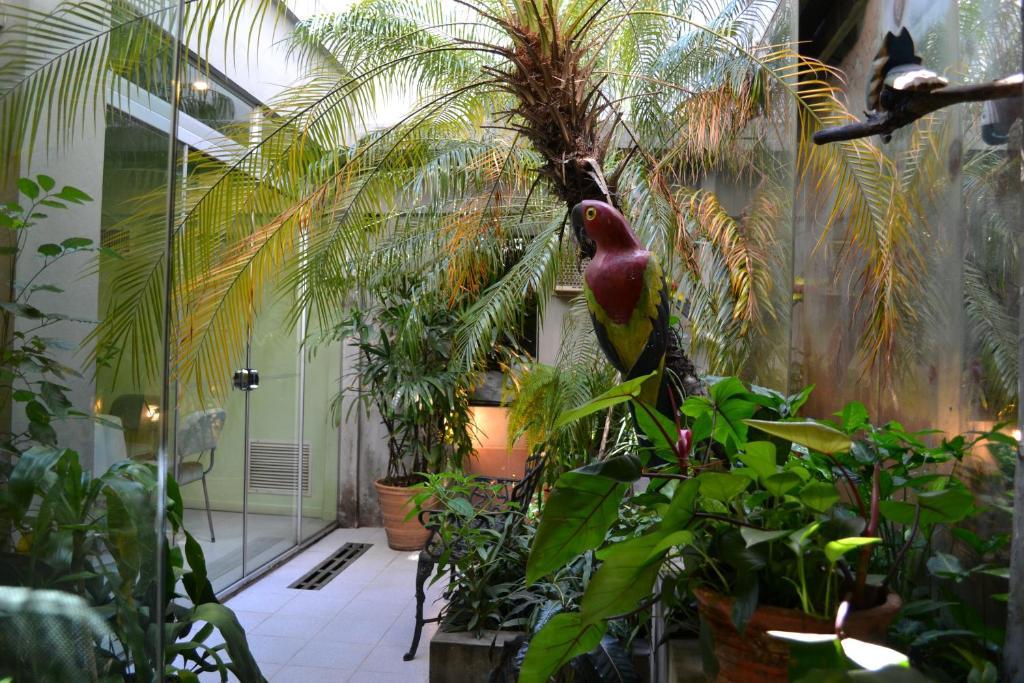 Hotel Amalfi Asuncion Extérieur photo