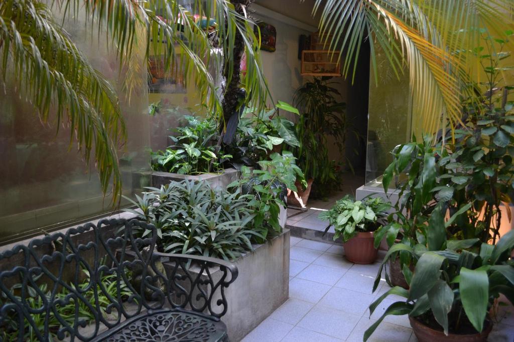 Hotel Amalfi Asuncion Extérieur photo