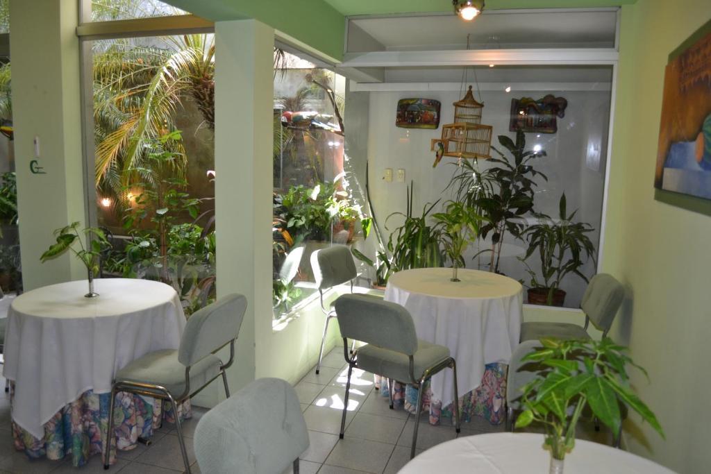 Hotel Amalfi Asuncion Extérieur photo